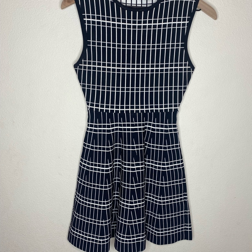 BlackWhite Zara Dress